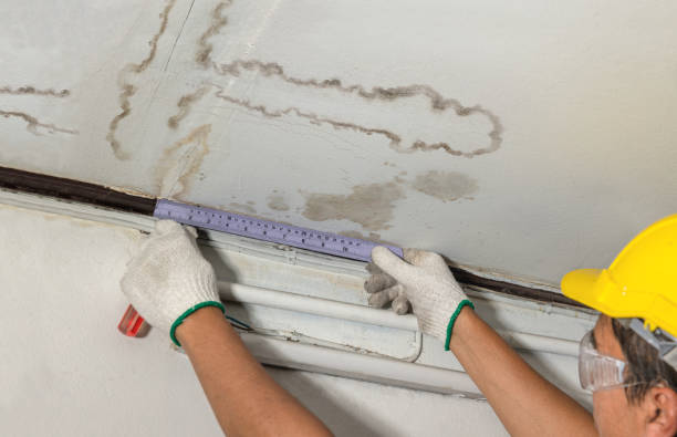 Reliable Mold Remediation contractor in Monson, MA by Water Damage Irwin